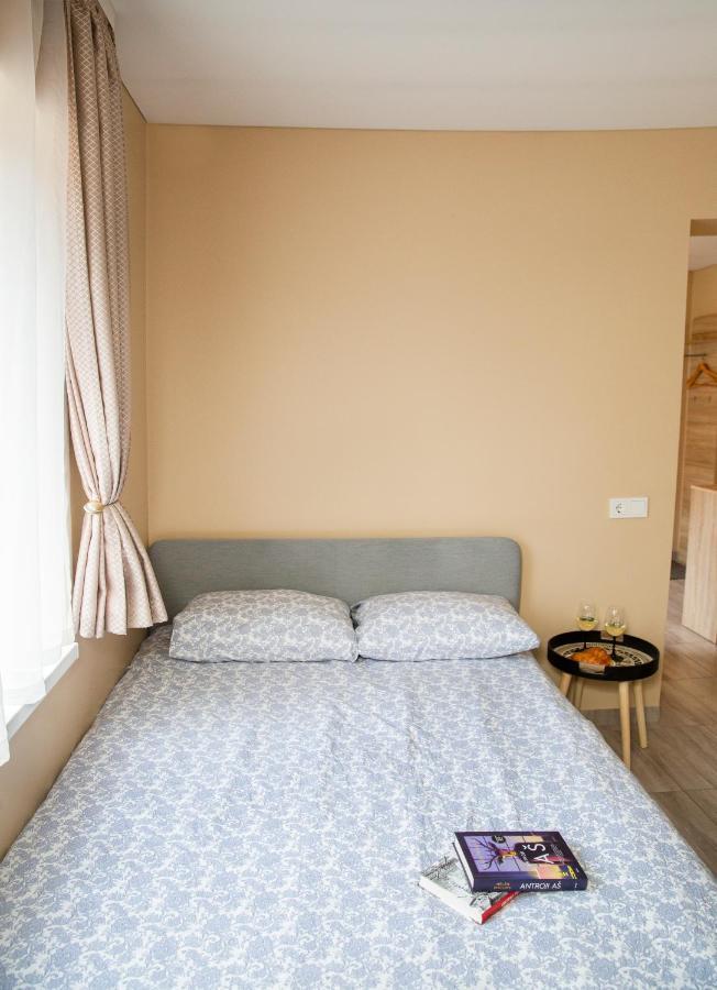 Chill&Go Apartment 考纳斯 外观 照片